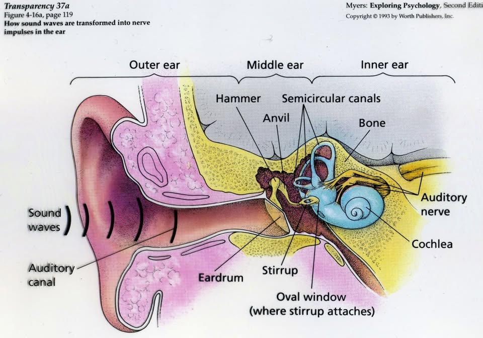 Clinic Image 2